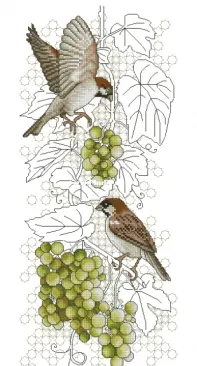 Sparrow and grape by Krasnaya T.