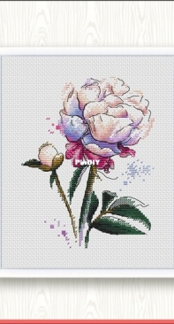 Peony by Lyubov Vodenikova Любовь Воденикова