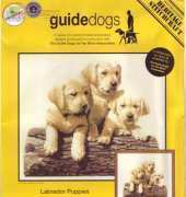 Heritage Stitchcraft GDLP584 - Labrador Puppies