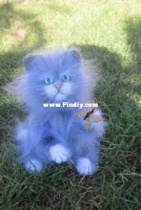 cat and butterfly