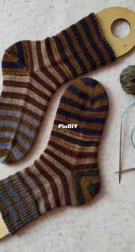 lazy lion socks