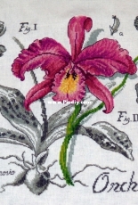 Les Brodeuses Parisiennes Veronique Enginger - Orchidee