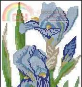 Zolotoe Runo ZR CK-003 Irises