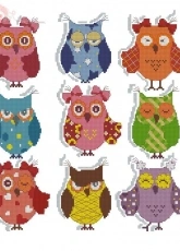 Owls Sampler