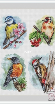 Woodpecker by Irina Bulgakova