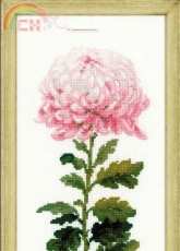 Riolis 1425 Gentle Flower  PCS
