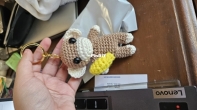 Monkey