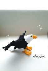 IIdikko eagle