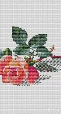 Rose by Galina Tomina