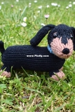 fluff + fuzz-Dachshund Puppy by Amanda Berry-Free