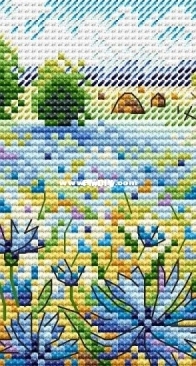 M. P. Studio M-528 Cornflower Field XSD