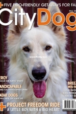 City Dog Magazine Fall 2018