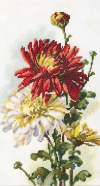 RTO M516 Dahlia XSD