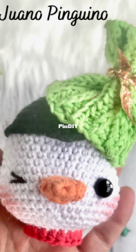 Bhindi crochet - Celeste Ronzano - Pengüin Juano - Juano Pinguino - Spanish - Free