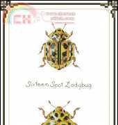 Prof.Fizzbys Wonderous Strange Collection of Wee Beasties part 8 Dimples Design Pangaea - Spot Ladybug