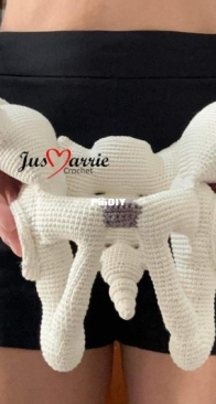 Jus Marrie Crochet - Jusmayre Rosa - Female pelvis - Pelve feminina - Portuguese