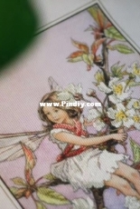 Small little fairy
