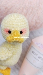 little duck