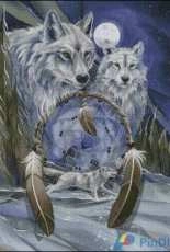 HAED HAEJB 225 Nothing Can Hold Back A Dream by Jody Bergsma
