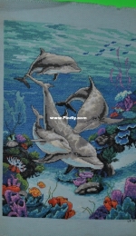Dolphins Domain -Dimensions