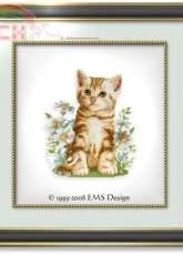 Ellen Maurer-Stroh - EMS 117 - Summer Kitten