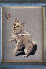Cat from Ponto Cruz 2000