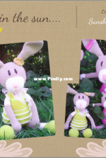 The Crazy Daisie - Hester Rouses - Miss Sunshine Bunny
