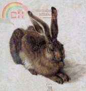 Scarlet Quince - A Young Hare by Albrecht Durer