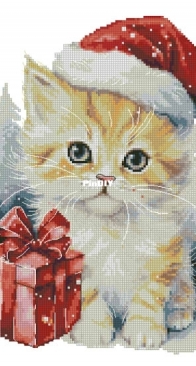 Coricamo 10849 Christmas cat XSD