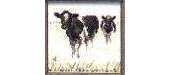 Lanarte 34573 - Two cows