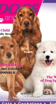 Australian Dogs and Pets - Issue 10, 2025