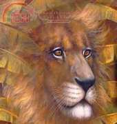 Arxinda - Lion