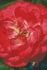 Artecy Cross Stitch - Red Camelia