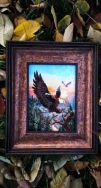 Dimensions 06759 Eagles Framed