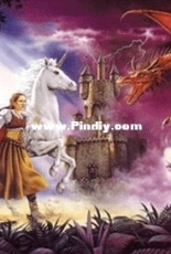 Cathie Farr - Enchanted Kingdom