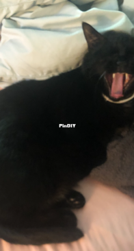 Big Yawn