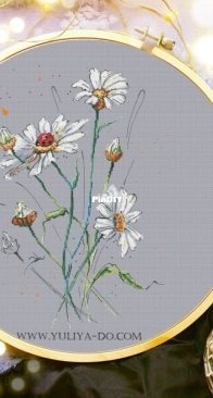 Watercolor Daisies by Yuliya Do / Julia Dormidontova