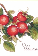 M.P. Studio HB-630 - Gifts of Nature - Rosehip