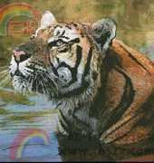 Artecy-Bengal Tiger