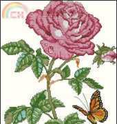 Rose Beauty from American School of Needlework ASN 3689 XSD