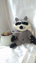raccoon