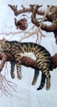 Cat on the Tree