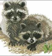 Riolis 1006 Raccoons