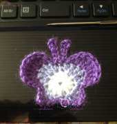 Different Style Of Butterfly