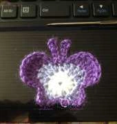 Different Style Of Butterfly