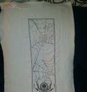 AAN-spider banner