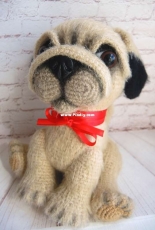 Pug