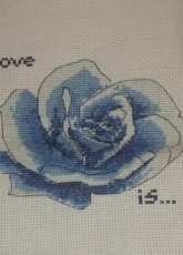 blue rose