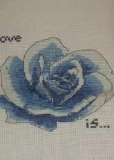 blue rose