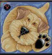 Terrier by Kate Mawdsley from magazine